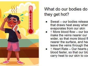 What Happens to Our Bodies on Hot Days