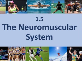 EDEXCEL A LEVEL PE FULL LESSONS Yr1 Chapter 5 - Neuromuscular System