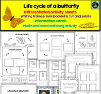 Life Cycle Of A Butterfly Pack | Teaching Resources