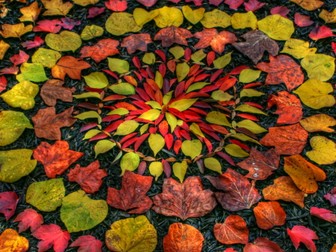 Art Andy Goldsworthy KS1