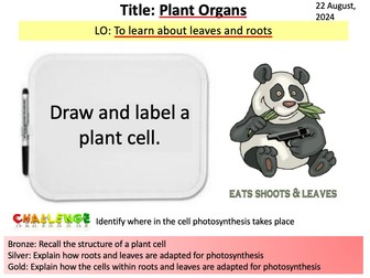 Year 8 Science Biology - Plant Organs