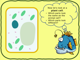 Plant cells - KS3 Low Ability
