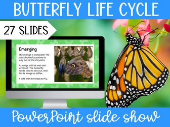 Life Cycle of a Butterfly PowerPoint Slide Show Lesson KS2