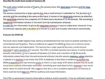 A-level Edexcel Psychology: Cogntive Essay Plans