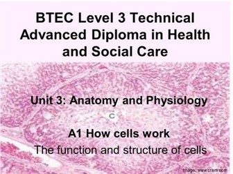 BTEC Unit 3 Anatomy and Physiology A1: Cell Structure