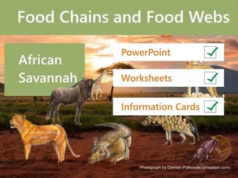 Food Chains and Food Webs - Savannah