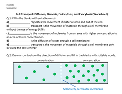 Cell Transport: Diffusion, Osmosis, Endocytosis, and Exocytosis