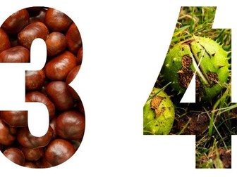 Numbers 1 - 10 Conker/ Autumn Theme Nursery & Reception EYFS Maths