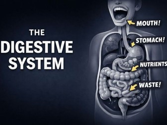 Digestive System in 5 Minutes | Easy Biology
