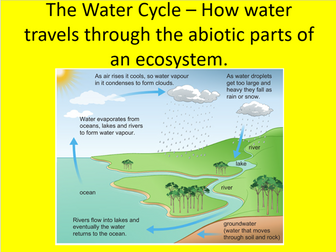 Edexcel SB9 The Water Cycle Complete Lesson – GCSE Combined/ Biology