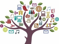 KS3 Media Unit