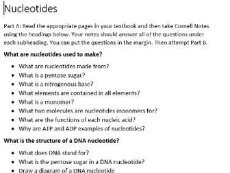 Nucleotide Practice Questions & Assessment