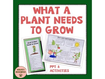 What A Plant Needs To Grow
