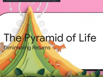 Food Webs and Trophic Levels: Full 7-Minute Educational Video Lesson