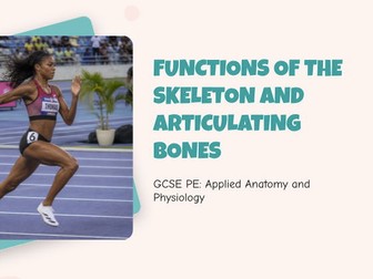 OCR GCSE PE - Functions of the Skeleton and Articulating Bones