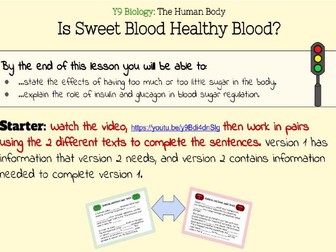 Blood Sugar and Diabetes (2 lessons with Printables)
