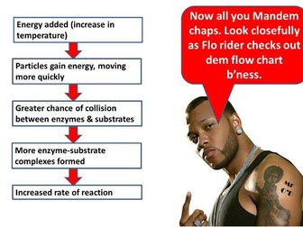 GCSE 9 - 1 Biology key concepts - CB1g Enzyme rates