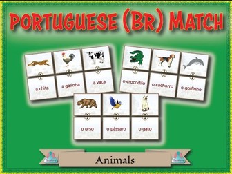 Portuguese (Brazilian) Match - Animals