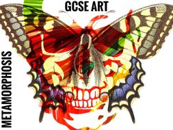 Metamorphosis coursework 07 image