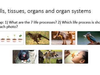 KS3 Science 7A Cells Revision power point Exploring science