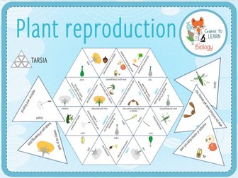 Plant Reproduction - Tarsia (KS3)