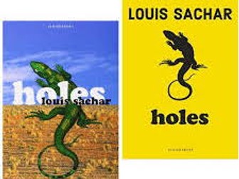 Holes Louis Sachar Planning Whole Class Read