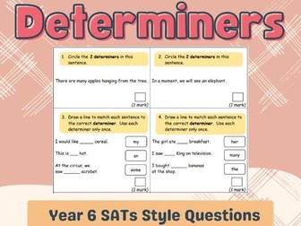 Determiners Practice Questions- Year 6 SATs