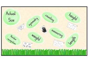 EYFS Measuring & Size Comparison Activities – Actual Size, Inspired