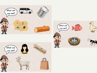 What Can You See? Morning Slides - Phase 2 and 3