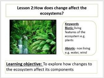 How does change affect the ecosystem?