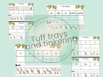 bilingual maths owl babies eyfs foundation phase curriculum for wales nursery ps1 ks1