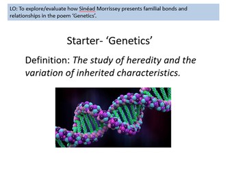 Genetics by Sinead Morrissey