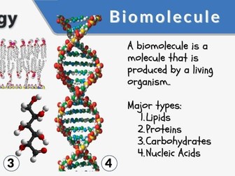 Edexcel iA Level Biological Molecules