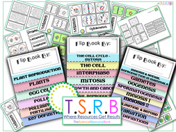 Full Meiosis and Mitosis Resource Bundle (Edexcel Biology B)