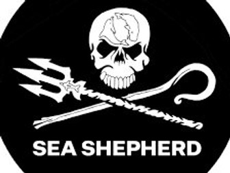Sea Shepherd - Pirates or Ocean Protectors?
