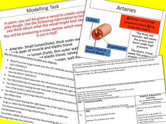 The heart and blood vessels OCR B2.2d AQA 4.2.2.2