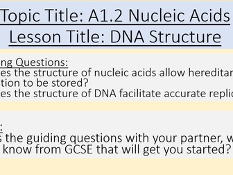 A1.2 Nucleic Acids Whole Topic - IB DP HL Bio