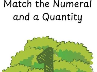 Conker Tree Numeral and Quantity Matching EYFS Nursery and Reception Maths