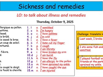 GCSE FRENCH - Sickness + remedies