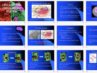 The Heart and Circulation - a Unit of Work