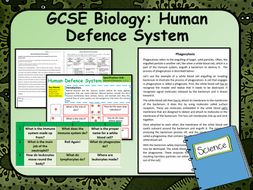 Human Defence Systems By Waqar2210 Teaching Resources Tes - New Aqa Biology Science Human Defence Systems Lesson By human defence systems by waqar2210 teaching resources tes new aqa biology science human defence systems lesson by