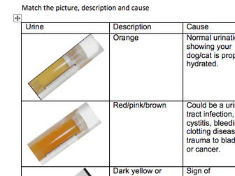 BTEC Level 1/2 Animal Care 2015 Unit 1 - Urination in animals