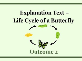 KS1 Explanation Text Unit - The Life Cycle of a Butterfly (8 Lesson Sentence-Driven Sequence)