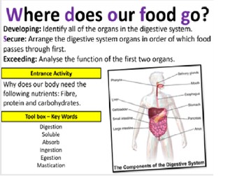 Topic 8A - Where Does Our Food Go?