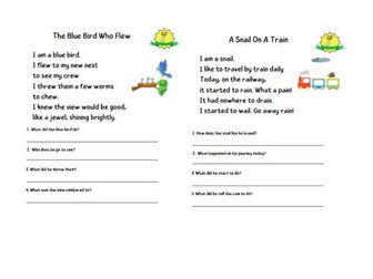 Set RWI Compatible Decodable Phonics Reading Comprehension and Phoneme Spotter Worksheets