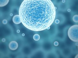 gcse biology homework help