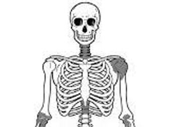 AQA GCSE PE Skeletal Lesson bundle