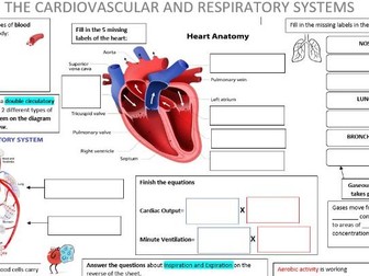 Cardiovascular and Respiratory System Revision