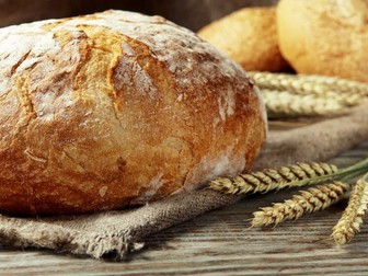 Primary and secondary processing of wheat and flour: Lesson plan