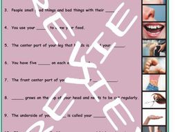 Body Parts 3 Photo Worksheet Set